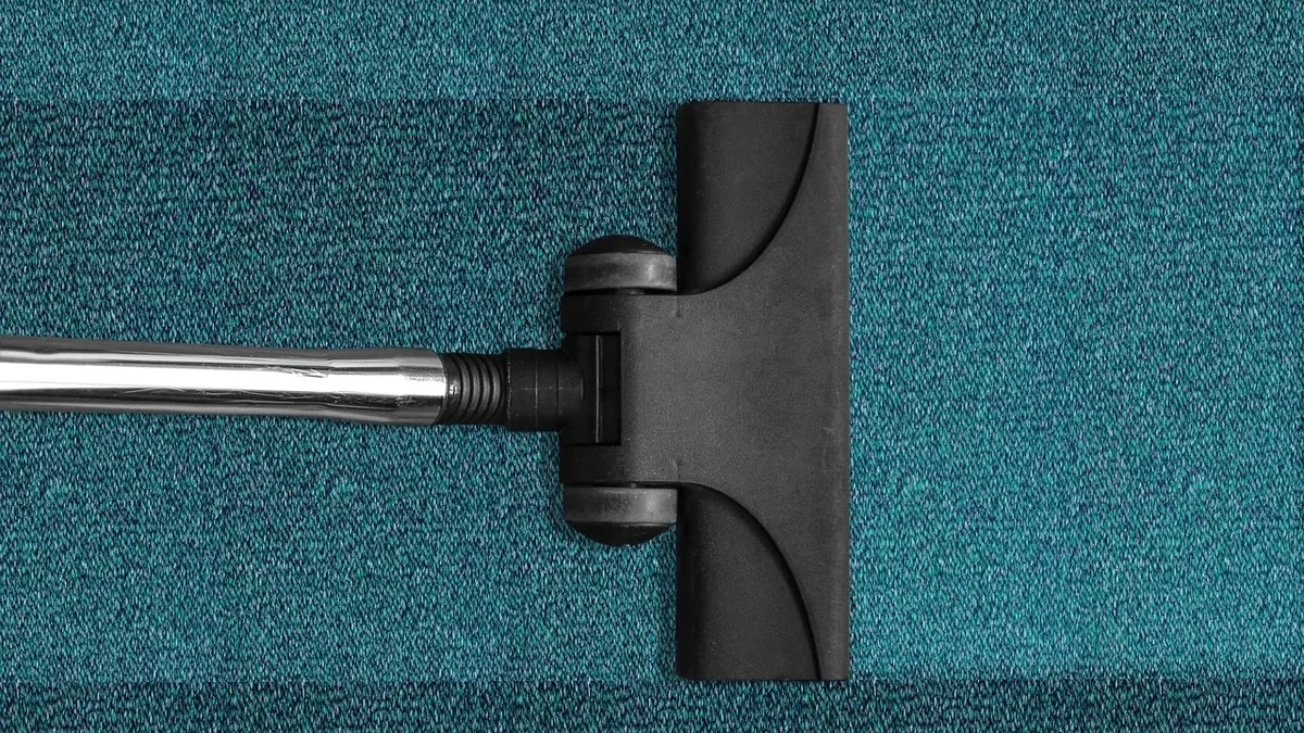 Best Vacuum For Pet Hair
